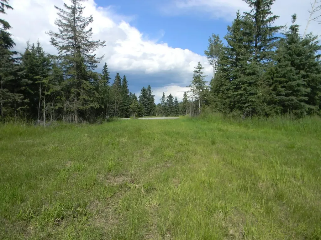 115 Meadow Ponds Drive Rural Clearwater County AB T4T 1A7