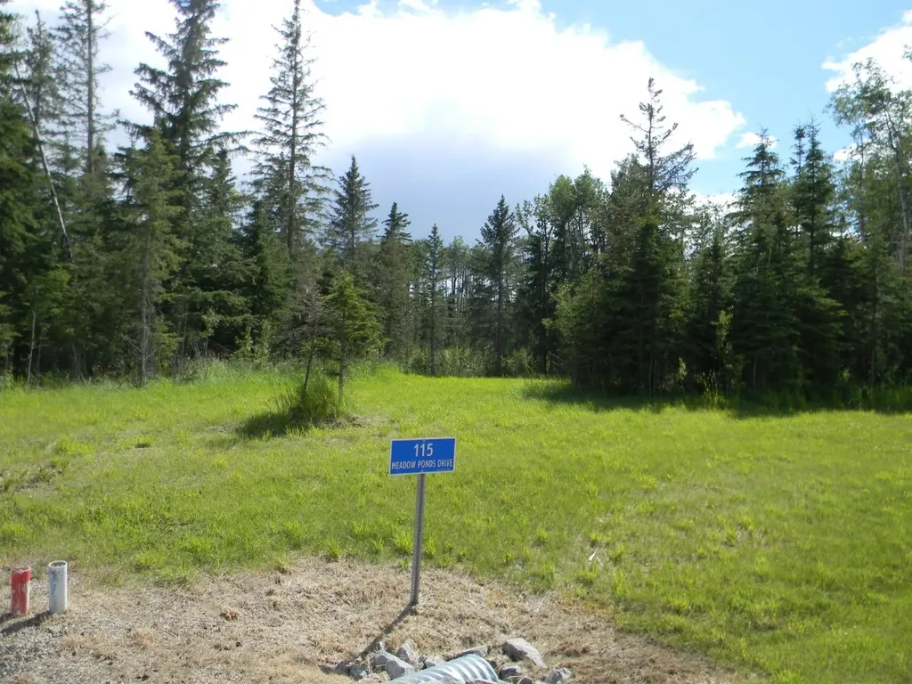 115 Meadow Ponds Drive Rural Clearwater County AB T4T 1A7