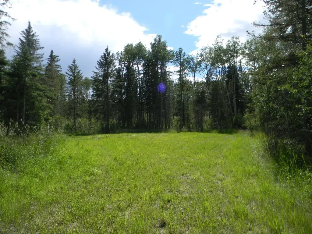 115 Meadow Ponds Drive Rural Clearwater County AB T4T 1A7