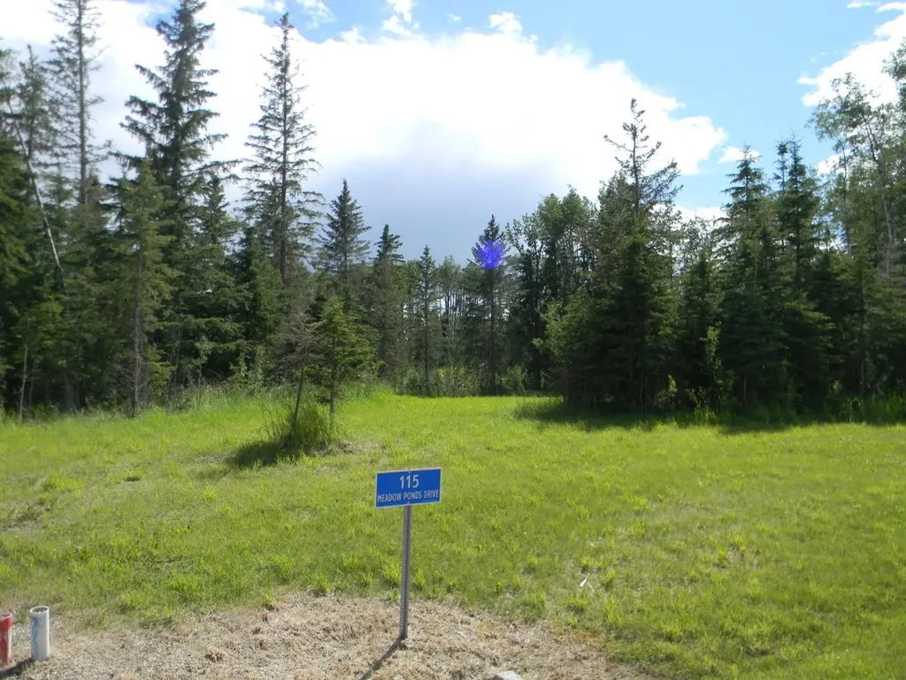 115 Meadow Ponds Drive Rural Clearwater County AB T4T 1A7