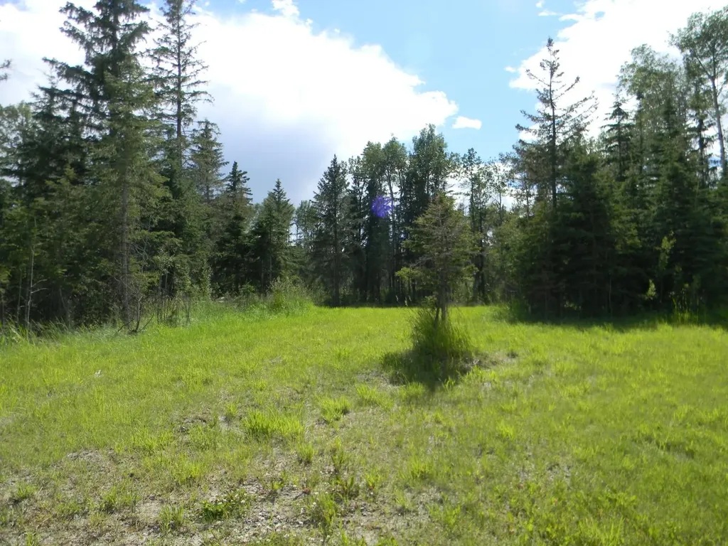 115 Meadow Ponds Drive Rural Clearwater County AB T4T 1A7