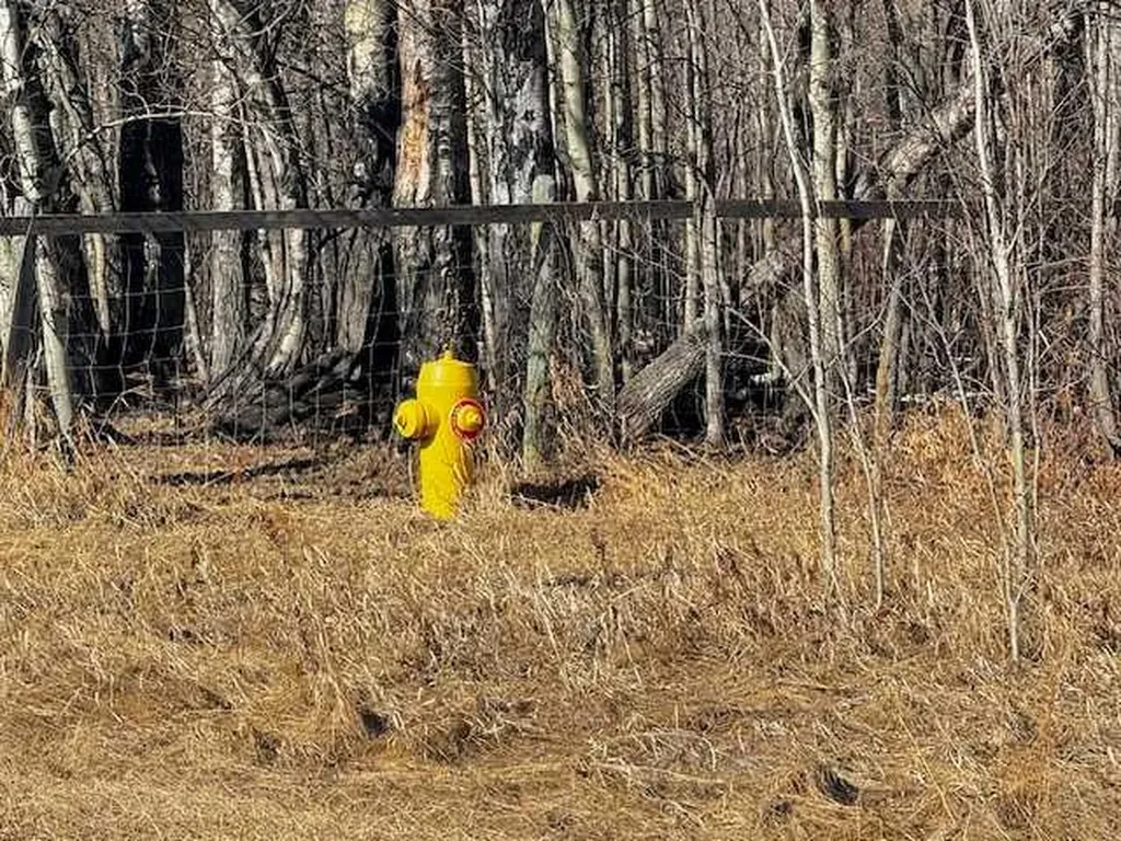 2431 Mistassiniy Road Wabasca AB T0G 2K0
