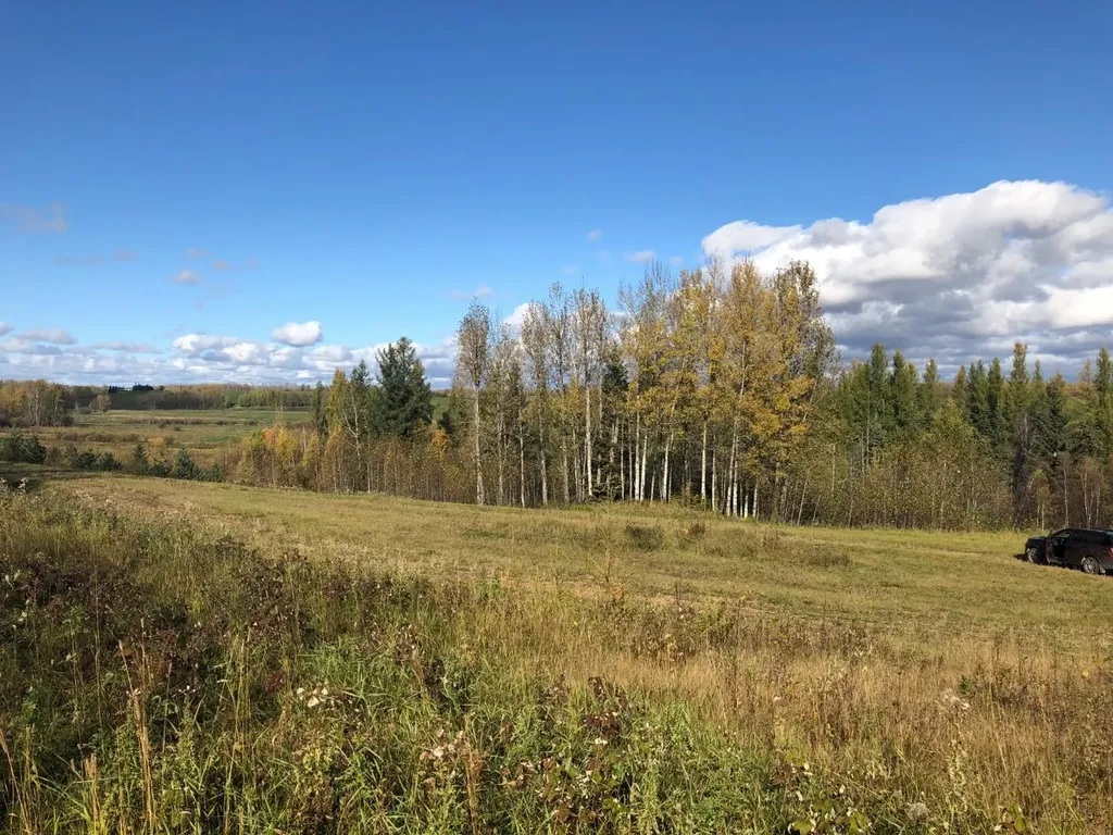 16326 Twp Road 675 Plamondon AB T0A 2T0