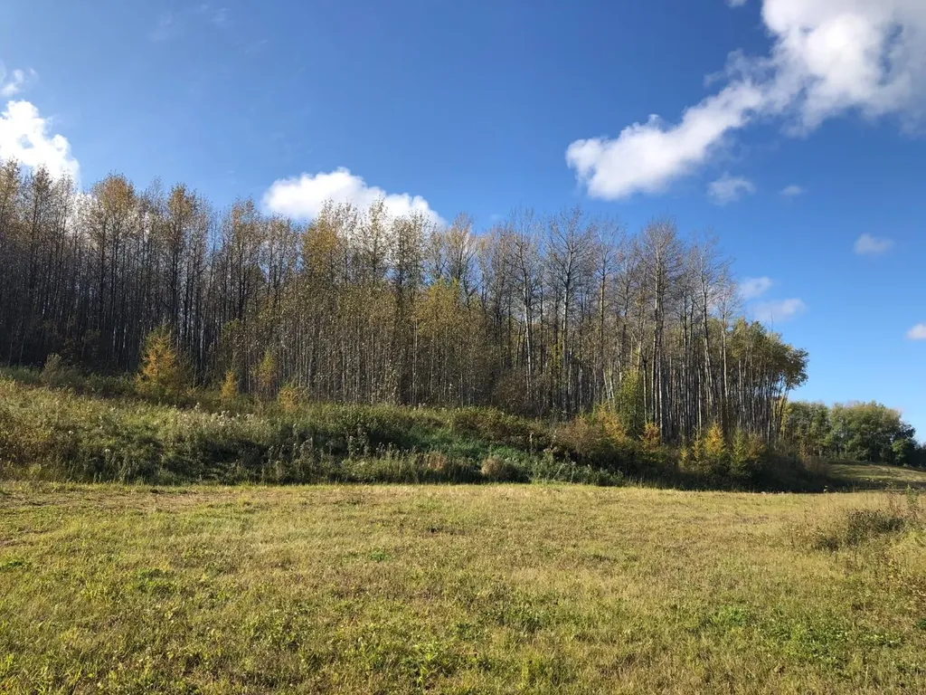 16326 Twp Road 675 Plamondon AB T0A 2T0