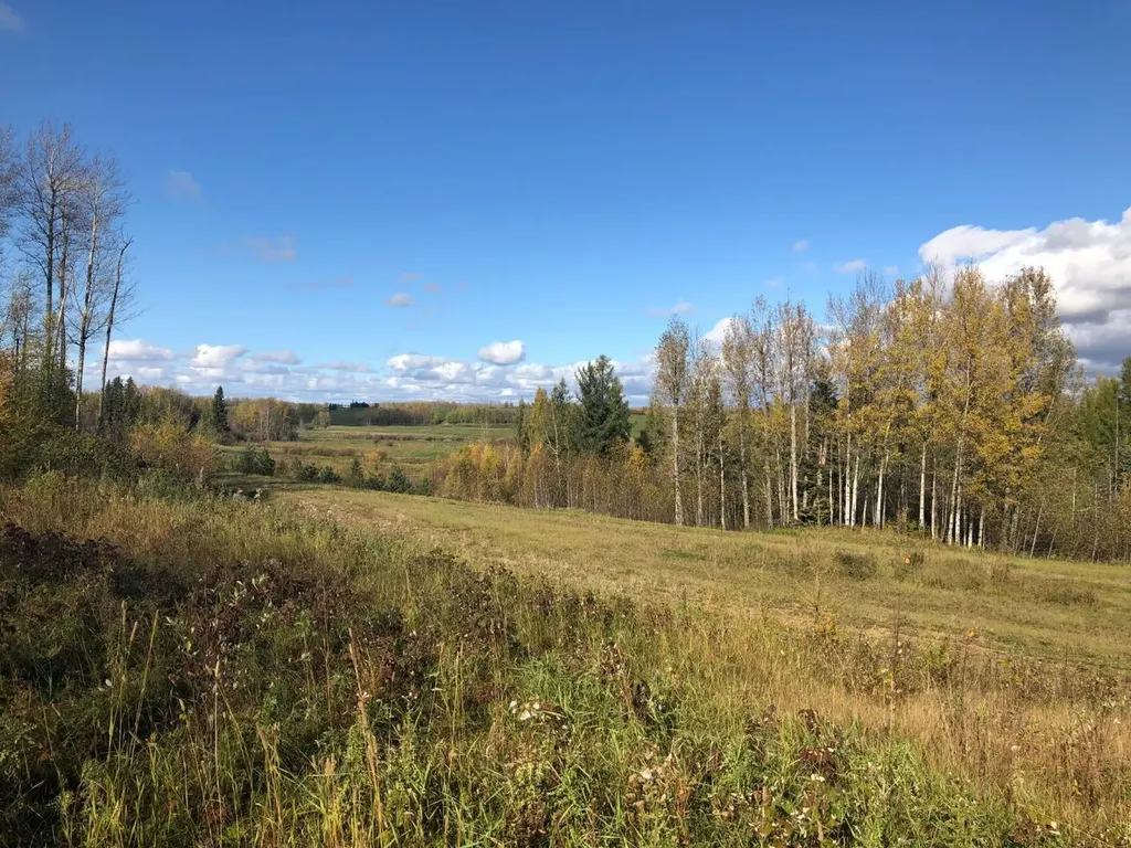 16326 Twp Road 675 Plamondon AB T0A 2T0