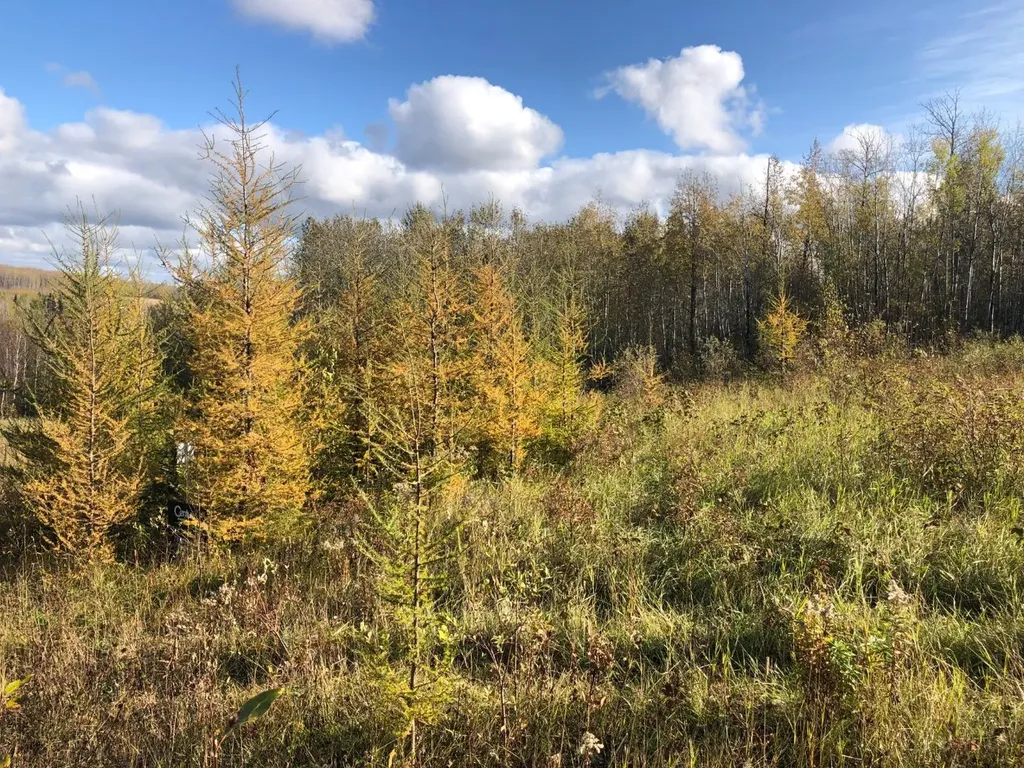 16326 Twp Road 675 Plamondon AB T0A 2T0