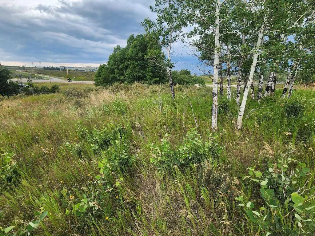 430 Cottageclub Cove Rural Rocky View County AB T4C 1B1