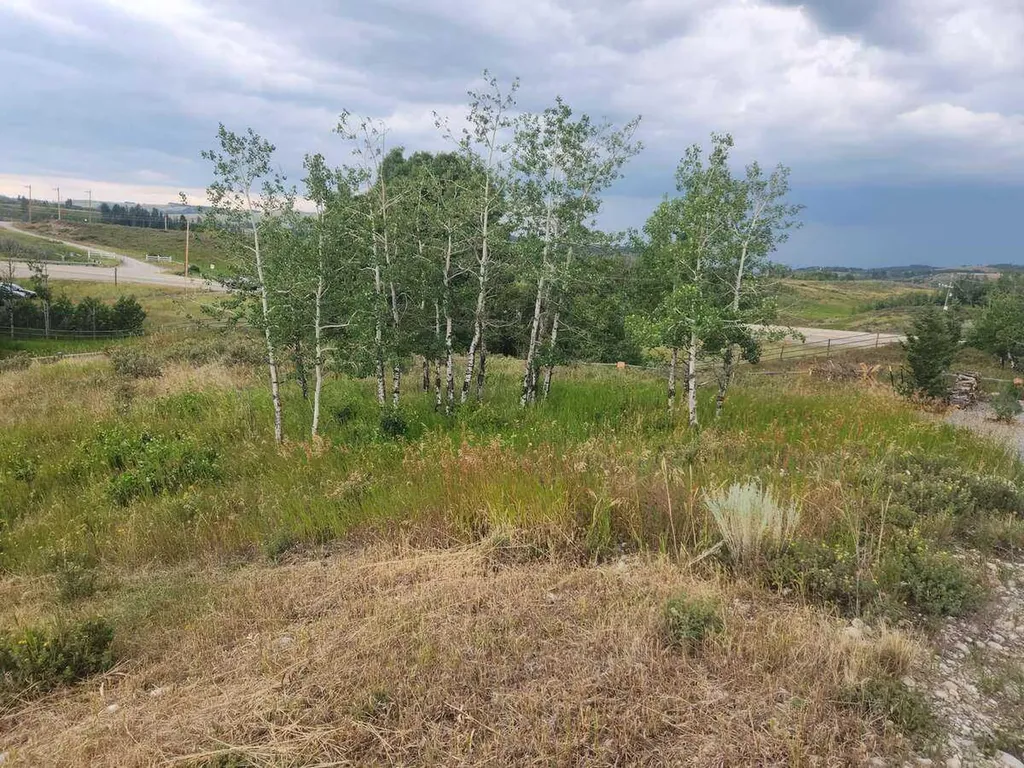 430 Cottageclub Cove Rural Rocky View County AB T4C 1B1