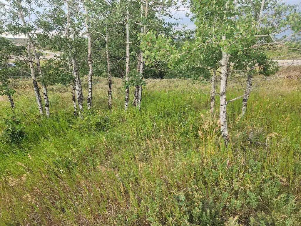 430 Cottageclub Cove Rural Rocky View County AB T4C 1B1