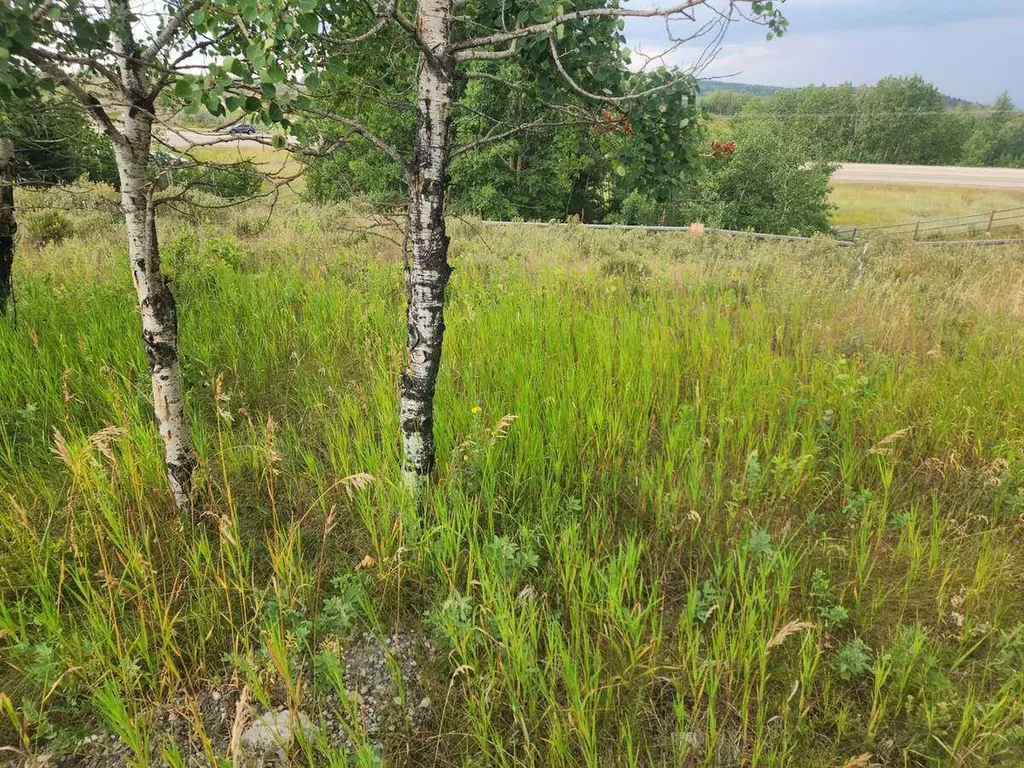 430 Cottageclub Cove Rural Rocky View County AB T4C 1B1