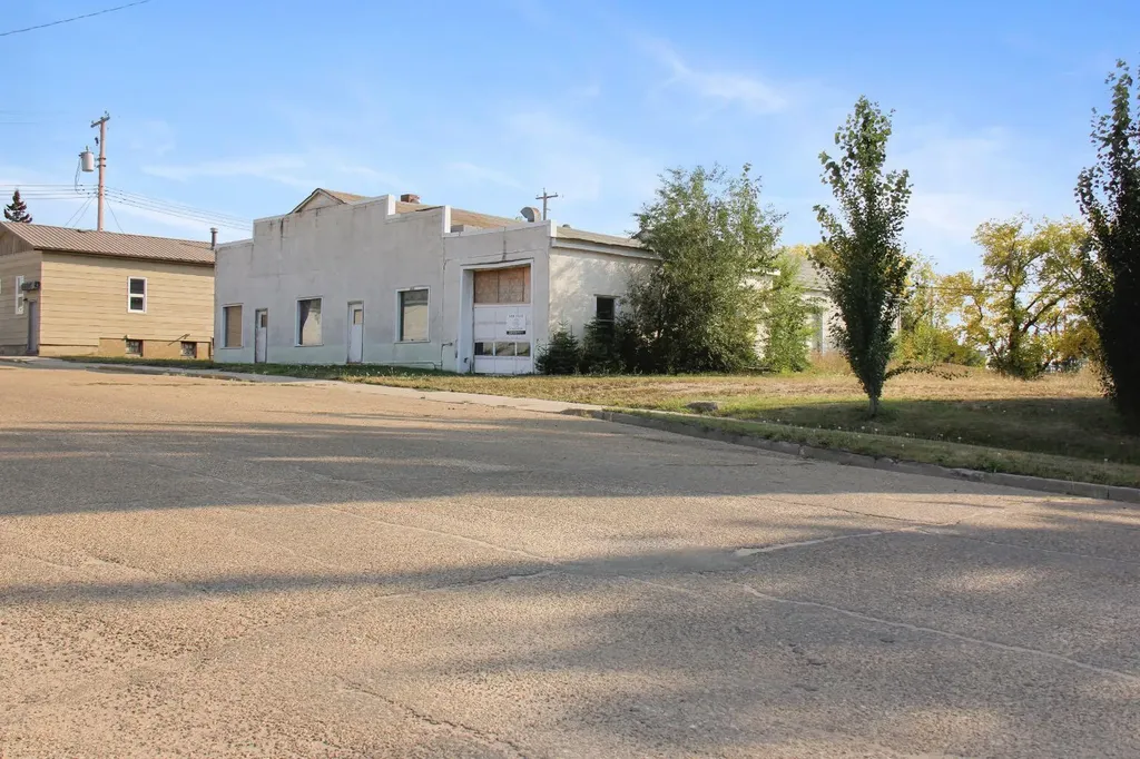 5019 52 Avenue Viking AB T0B 4N0
