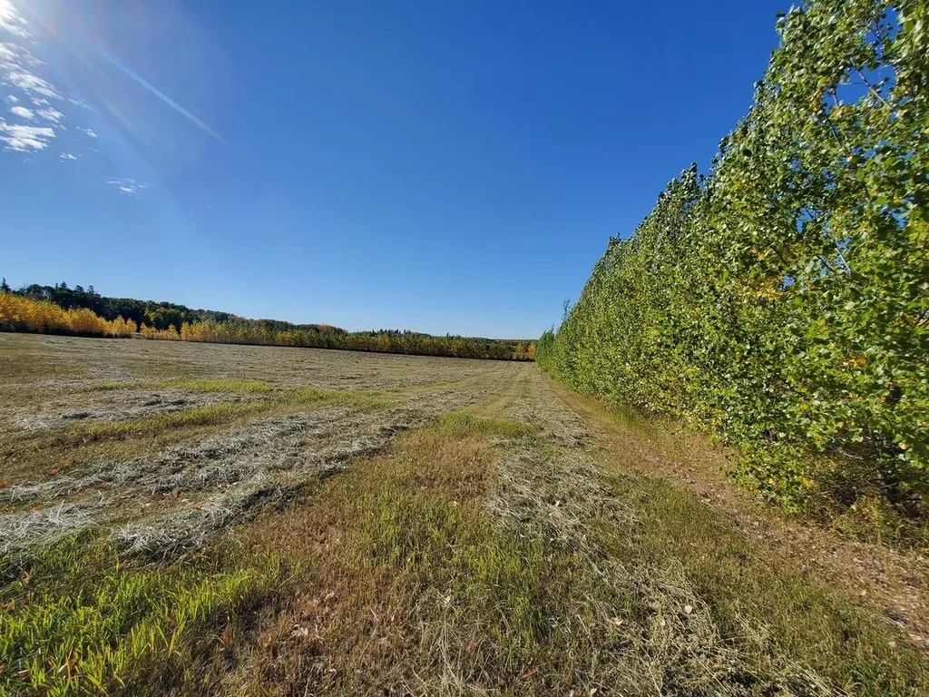 68126 Campsite Road Plamondon AB T0A 2T0