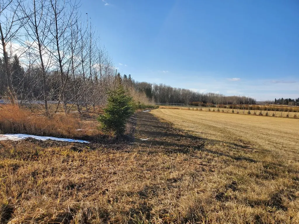 68126 Campsite Road Plamondon AB T0A 2T0