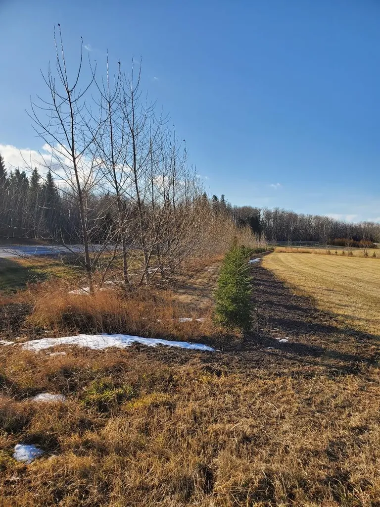 68126 Campsite Road Plamondon AB T0A 2T0