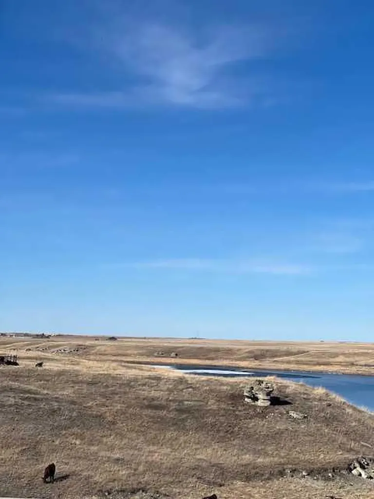 14 Pine Coulee Ranch SW Stavely AB T0L 0T0