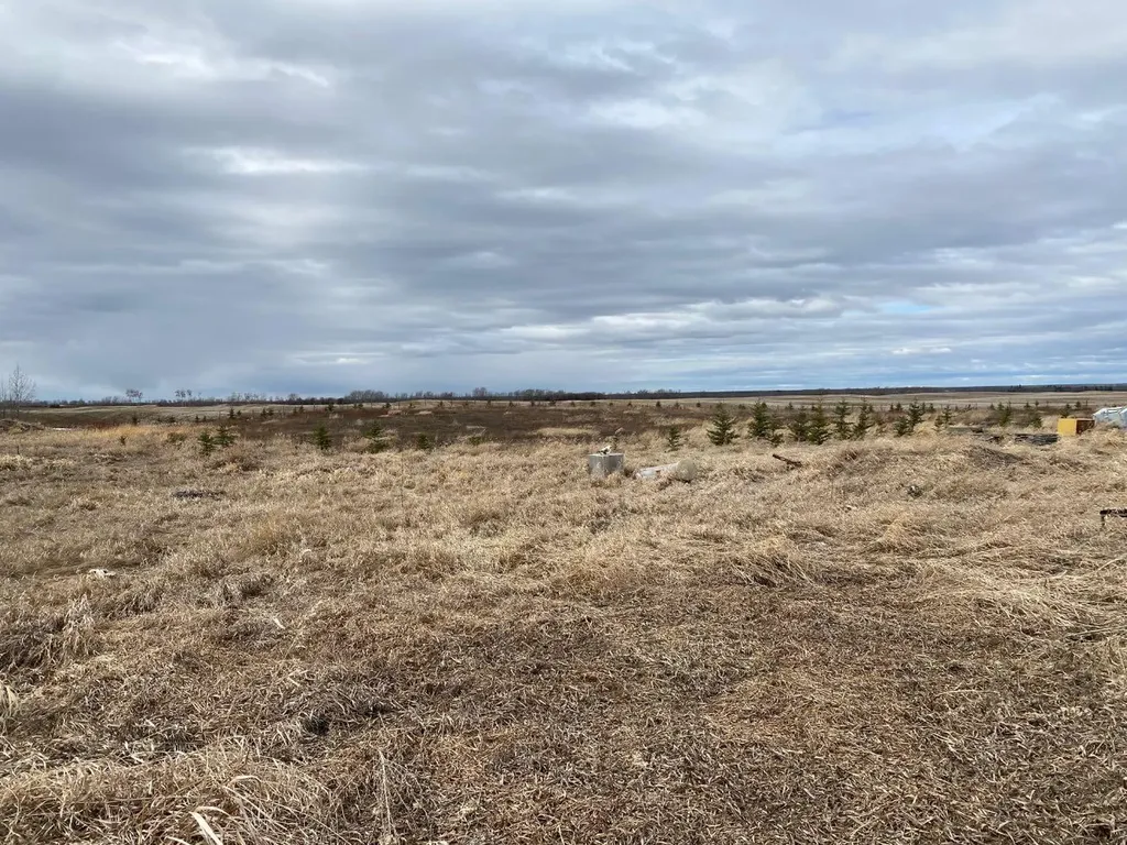 790006 Rge Road 255 Rural Birch Hills County AB T0H 1H0