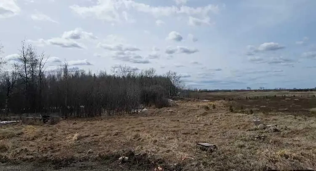 790006 Rge Road 255 Rural Birch Hills County AB T0H 1H0