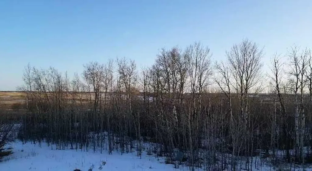 790006 Rge Road 255 Rural Birch Hills County AB T0H 1H0