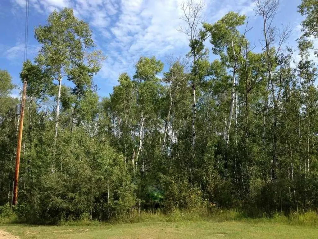 8 Antler Close Rural Athabasca County AB T9S 2A6