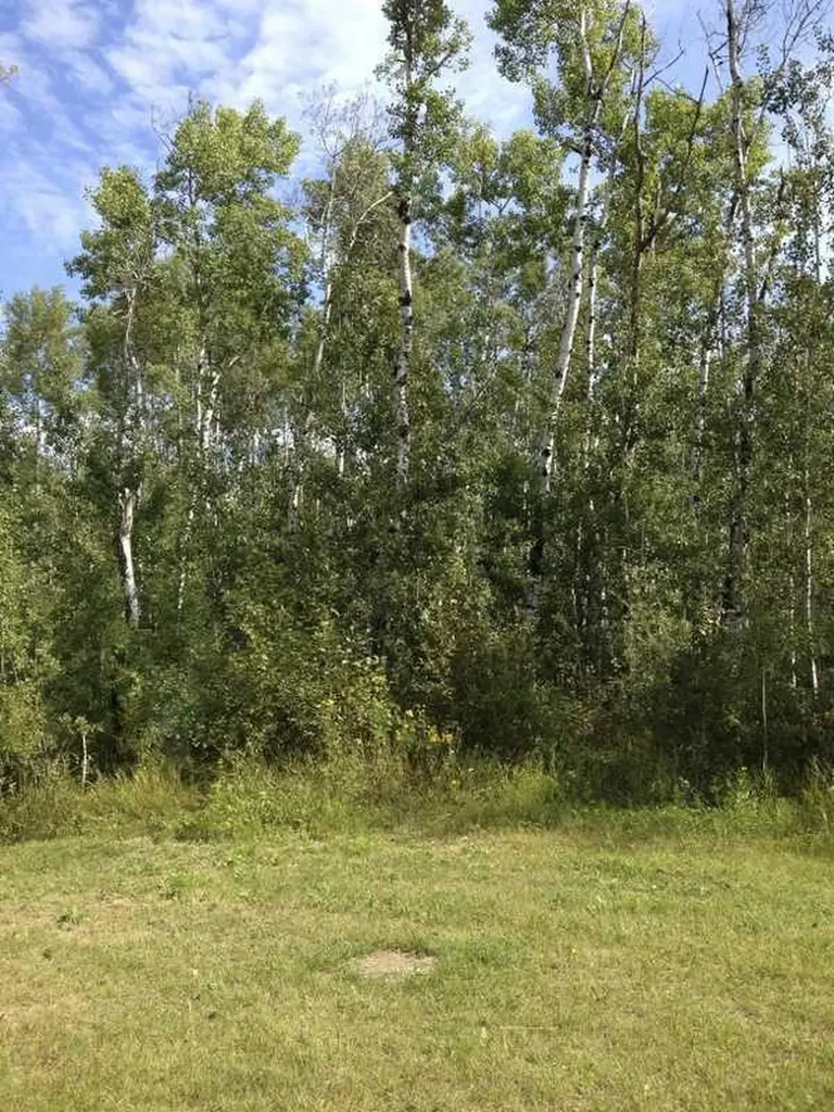 8 Antler Close Rural Athabasca County AB T9S 2A6