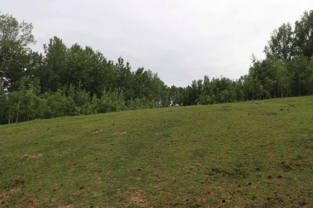 53508 Range Road 102a Rural Yellowhead County AB T0E 2M0