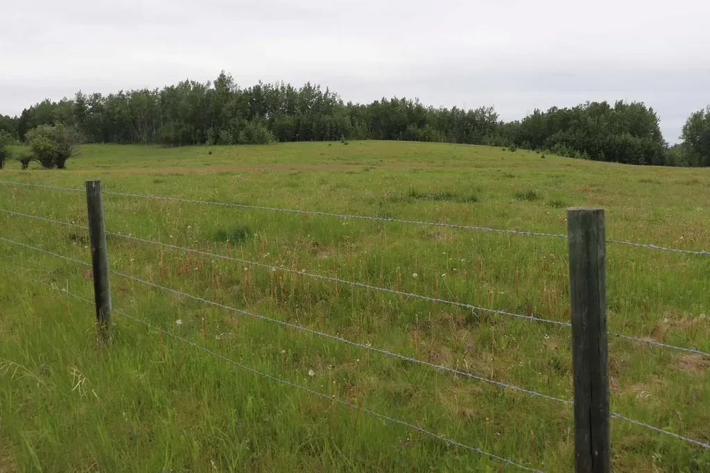 53508 Range Road 102a Rural Yellowhead County AB T0E 2M0