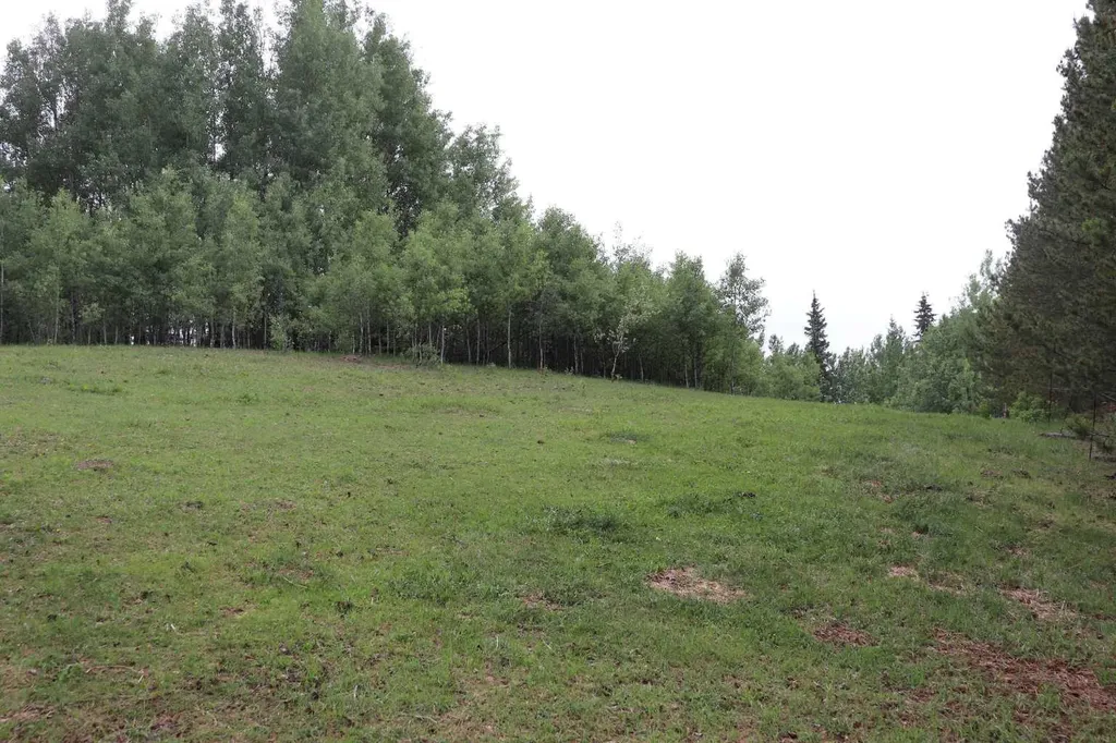 53508 Range Road 102a Rural Yellowhead County AB T0E 2M0