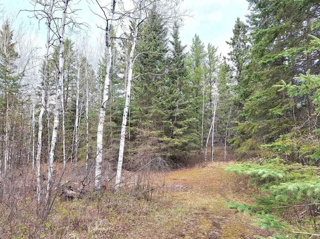 63146 Highway 867 Rural Lac La Biche County AB T0A 2C0