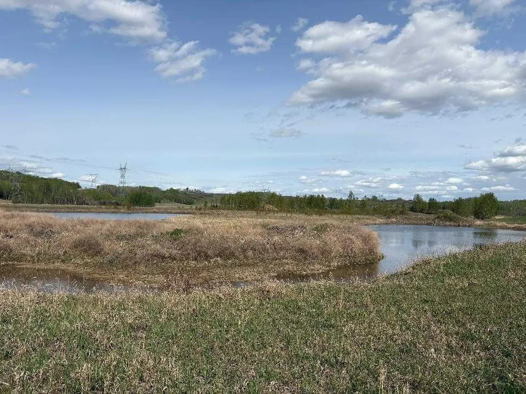 Twp 512a Rr 31 Rural Leduc County AB T0C 2T0