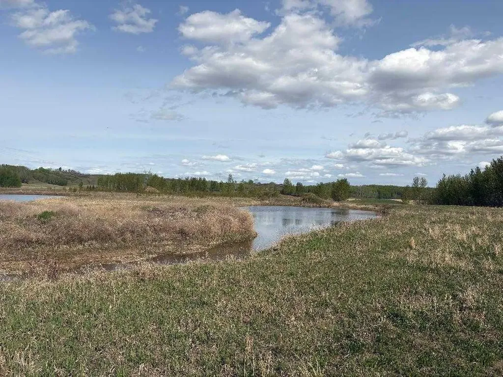 Twp 512a Rr 31 Rural Leduc County AB T0C 2T0