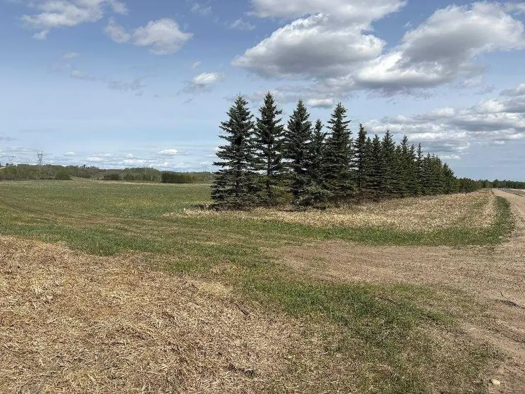 Twp 512a Rr 31 Rural Leduc County AB T0C 2T0