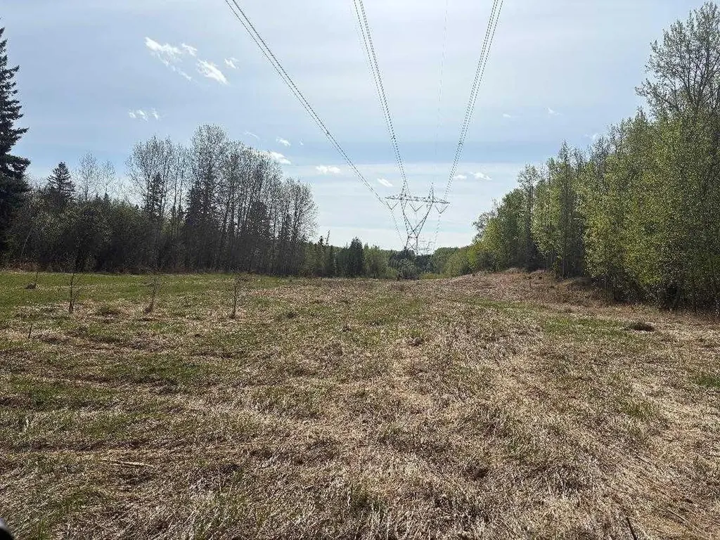 Twp 512a Rr 31 Rural Leduc County AB T0C 2T0