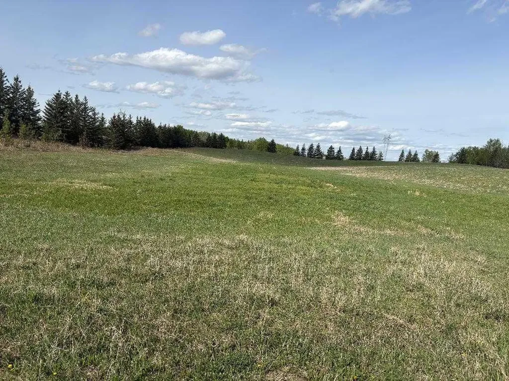 Twp 512a Rr 31 Rural Leduc County AB T0C 2T0