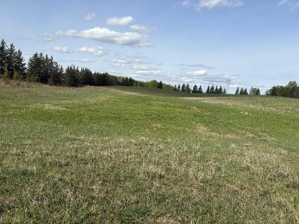 Twp 512a Rr 31 Rural Leduc County AB T0C 2T0