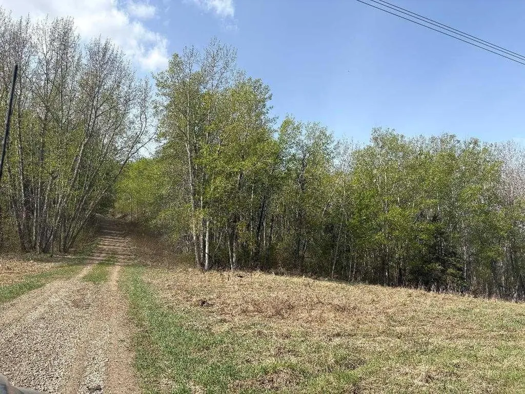 Twp 512a Rr 31 Rural Leduc County AB T0C 2T0