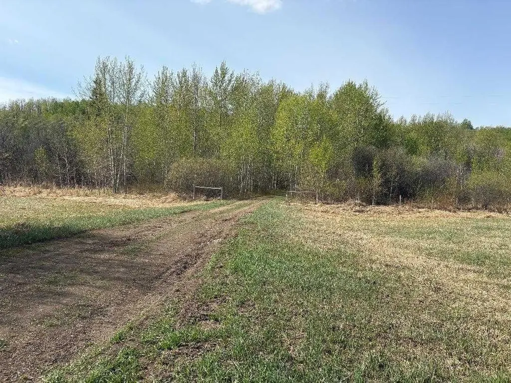 Twp 512a Rr 31 Rural Leduc County AB T0C 2T0