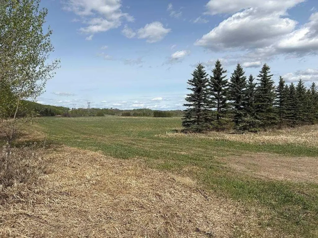 Twp 512a Rr 31 Rural Leduc County AB T0C 2T0