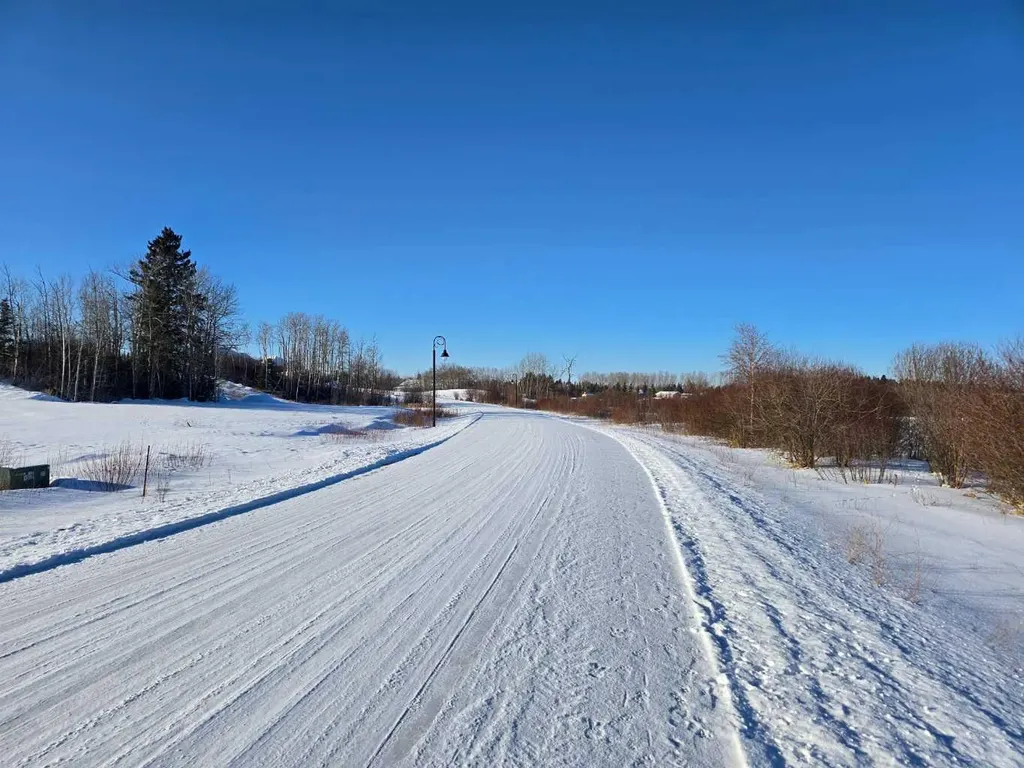 309 Wolf Run Drive Rural Ponoka County AB T4J 0B3