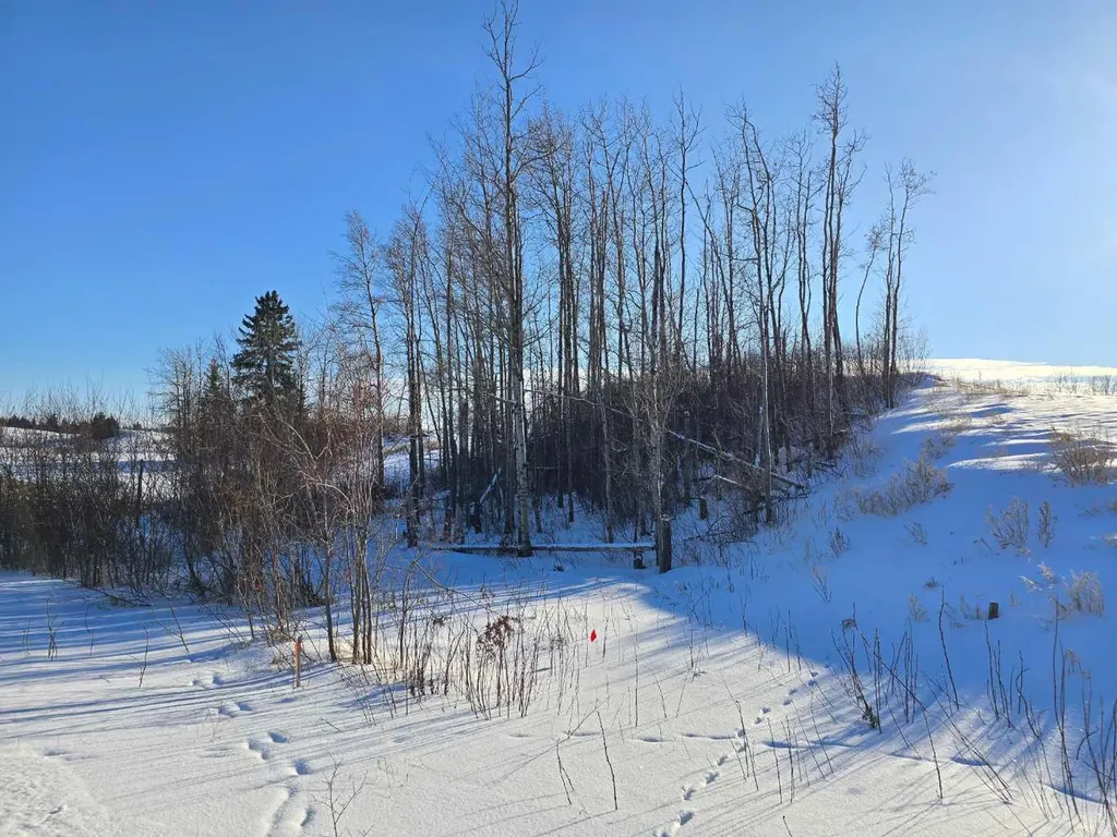 309 Wolf Run Drive Rural Ponoka County AB T4J 0B3