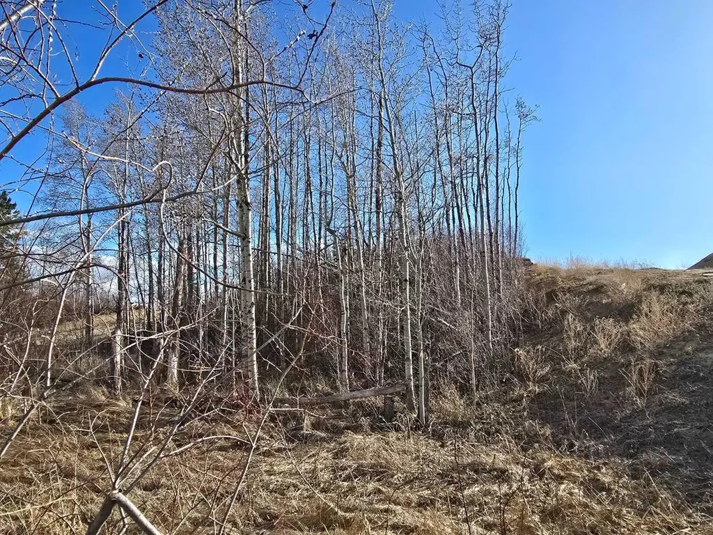 309 Wolf Run Drive Rural Ponoka County AB T4J 0B3
