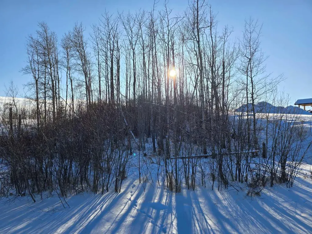 309 Wolf Run Drive Rural Ponoka County AB T4J 0B3