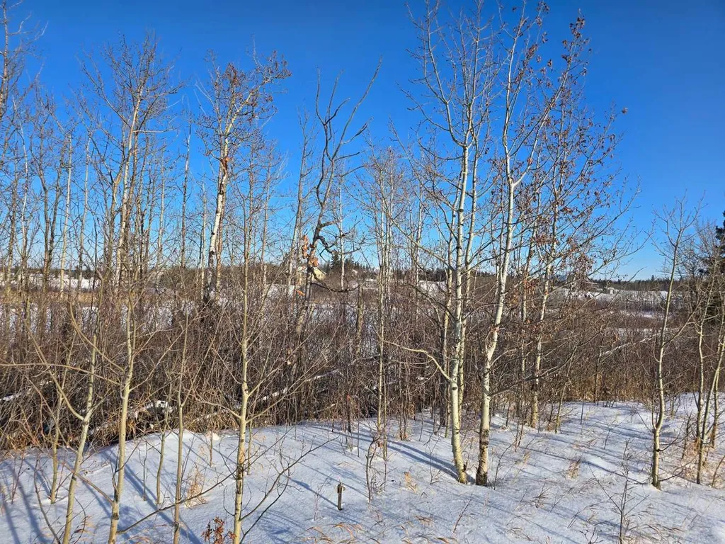309 Wolf Run Drive Rural Ponoka County AB T4J 0B3