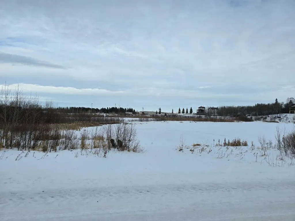 309 Wolf Run Drive Rural Ponoka County AB T4J 0B3