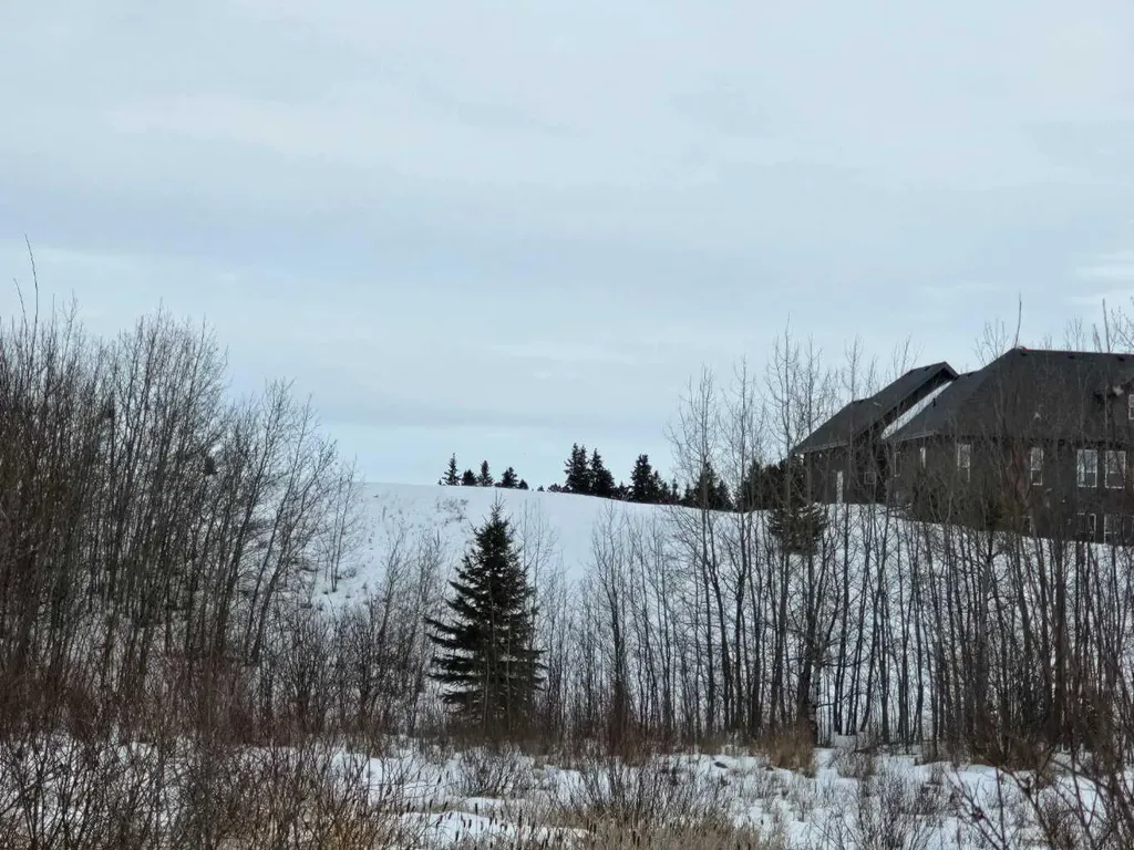 309 Wolf Run Drive Rural Ponoka County AB T4J 0B3