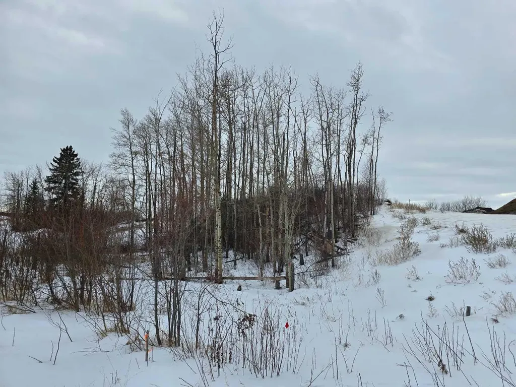 309 Wolf Run Drive Rural Ponoka County AB T4J 0B3