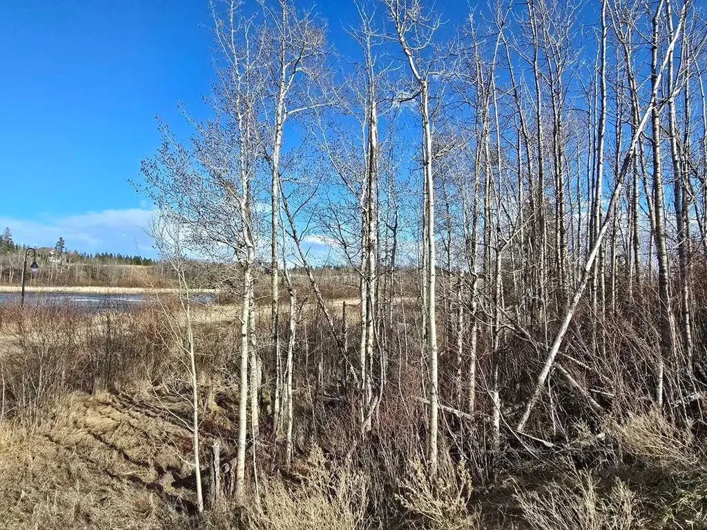 309 Wolf Run Drive Rural Ponoka County AB T4J 0B3