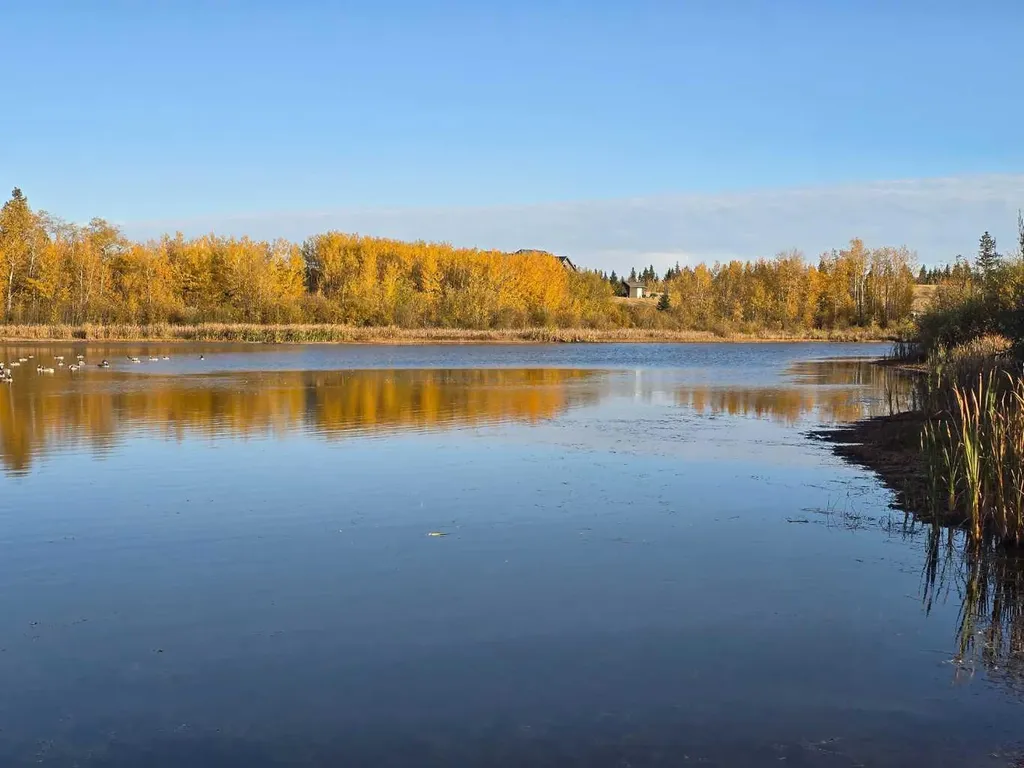 309 Wolf Run Drive Rural Ponoka County AB T4J 0B3
