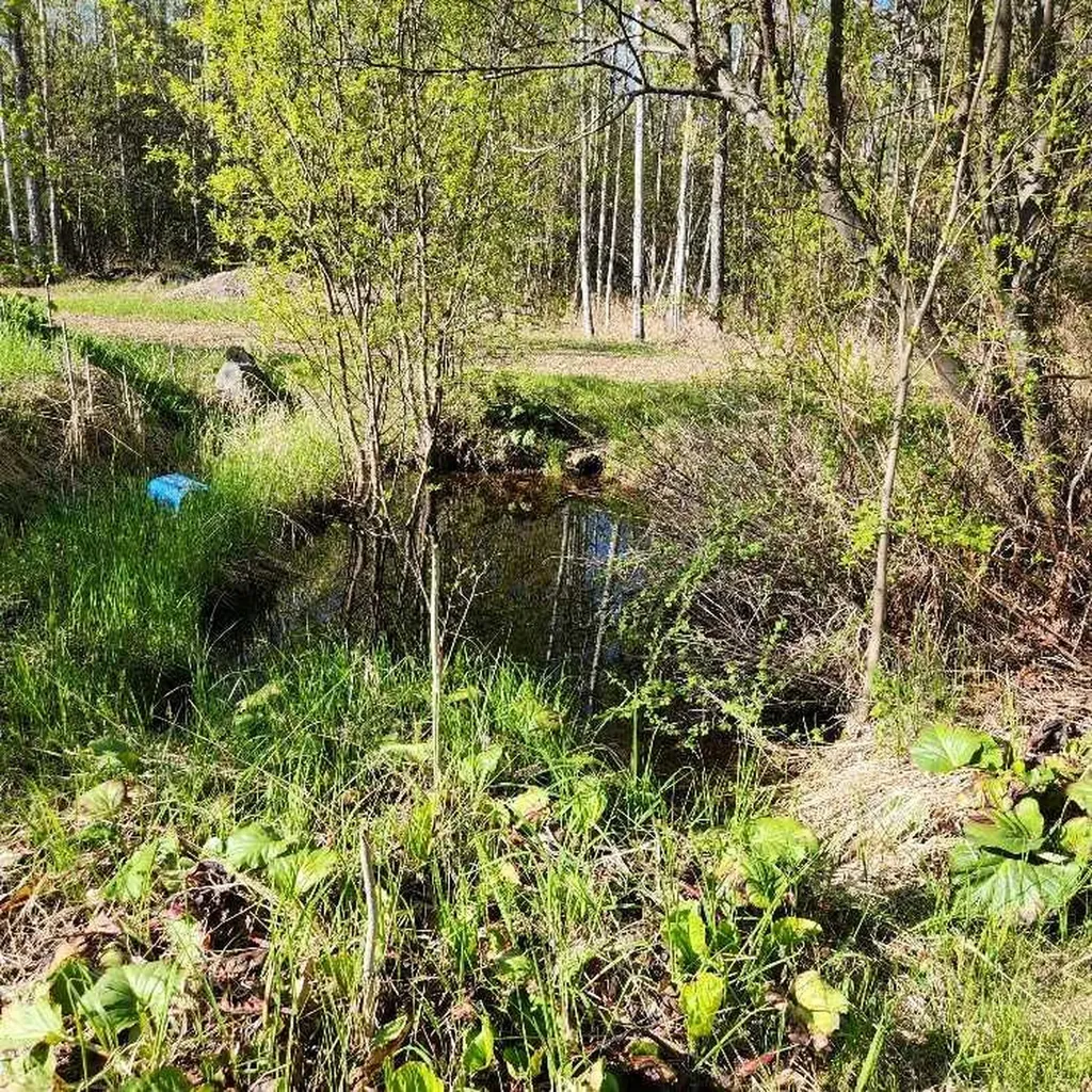 3 2nd Street Key Cove Drive S Joussard AB T0G 1J0