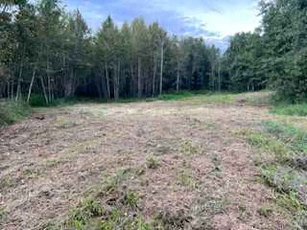 0 2422103 Block 1 Lot 1 Wandering River AB T0A3M0
