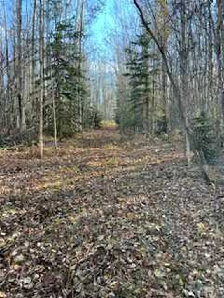 0 2422103 Block 1 Lot 1 Wandering River AB T0A3M0